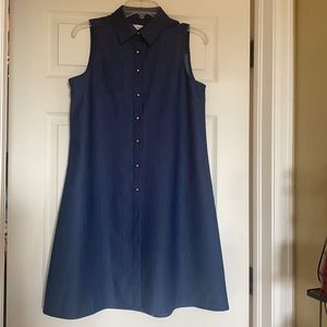 Calvin Klein Denim Dress